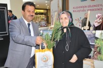 Kütahya'da 5 Bin Fidan Dağıtıldı