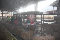 ŞENOL TURAN - Oltu'da Tuğla Fabrikası Açıldı