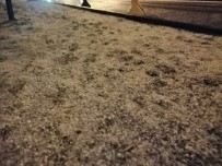 Solhan'da Dolu Etkili Oldu