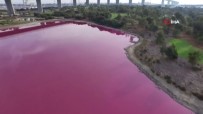 GÜNEŞ IŞIĞI - Avustralya'da Bir Göl Pembe Renge Büründü
