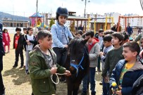 KAPALI ALAN - Tunceli'ye 'At Binicilik' Tesisi