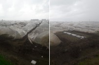 ŞİDDETLİ FIRTINA - Hortum Seraları Böyle Vurdu