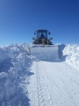 Kars'ta 64 Köy Yolu Ulaşıma Kapalı Haberi