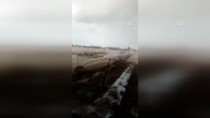 Mersin'de Şiddetli Yağış Seralara Zarar Verdi