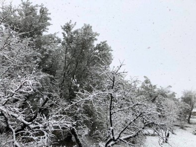 Mut'ta, Gece Başlayan Kar Yağışı Doğayı Beyaza Bürüdü