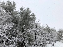 KAR LASTİĞİ - Mut'ta, Gece Başlayan Kar Yağışı Doğayı Beyaza Bürüdü