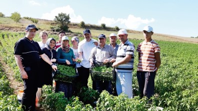 Sanayi Bölgesinin Ham Madde İhtiyacı Yerel Tohumlar İle Karşılanacak