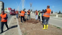 Silopi'de İpekyolu Işıklandırıldı