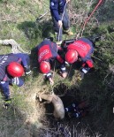 KARAKURT - Su Kuyusuna Düşen Kuzuyu İtfaiye Kurtardı