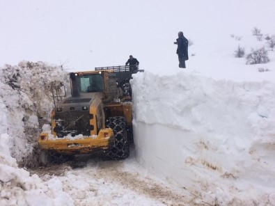Yüksekova'da 5 Ayrı Noktaya Çığ Düştü