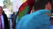 MUSTAFA UYGUN - Papağanlarıyla Oy Kullandı