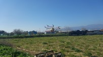 MEHMET ESEN - Aydın'da Drone İle İlaçlama Yapıldı