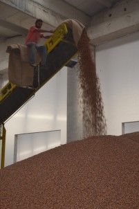 Fındıktan 6 Ayda Yaklaşık 1 Milyar Dolarlık Gelir