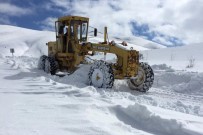 KAR KALINLIĞI - Gümüşhane'de Kapalı Köy Yolları Açıldı