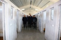 BAĞLUM - Keçiören'e Bir Hayvan Barınağı Daha