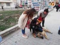 RÖNTGEN - Öğrenciler Tüfekle Vurulan Sokak Köpeğine Sahip Çıktı