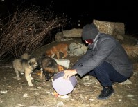 SOKAK KÖPEKLERİ - (Özel) Turan Çiftinden Örnek Davranış