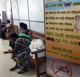 BAŞ DÖNMESİ - 8 Bin 900 Kişi 'Dang Humması' Hastası