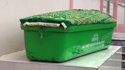 Gaziantep'in Asırlık Çınarı Vefat Etti