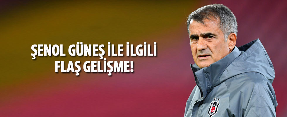 Şenol Güneş'in milli mesaisi erken başlayacak