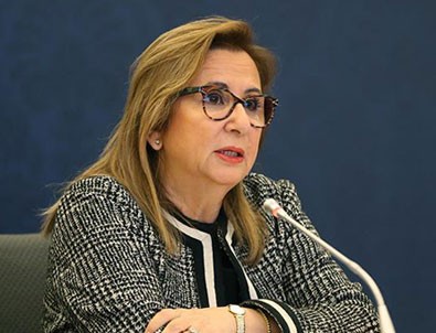 Zeytin Dalı Sınır Kapısı açılıyor