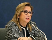 RUHSAR PEKCAN - Zeytin Dalı Sınır Kapısı açılıyor