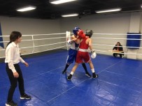 BOKS - Boks Müsabakaları Sona Erdi