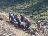 Çay Bahçesinde Kendi Yaktığı Ateşte Yanarak Öldü