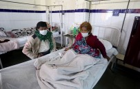 DOMUZ GRIBI - Domuz Gribinden Ölenlerin Sayısı 530'A Yükseldi