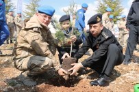 TABUR KOMUTANLIĞI - Jandarma'dan '180 Yılda 180 Bin Ağaç'