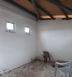 KEÇİ - Tedavi Edilen Yaban Keçisi Doğaya Bırakıldı