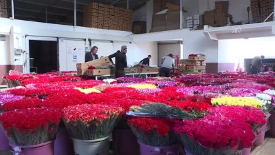 Türkiye'den Gönderilen Çiçekler 20 Ülkenin Kadınlarını Sevindirecek