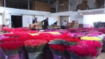 SEVGILILER GÜNÜ - Türkiye'den Gönderilen Çiçekler 20 Ülkenin Kadınlarını Sevindirecek