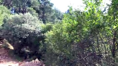 Hitit Dönemine Ait Kaya Kabartması Tahrip Edildi