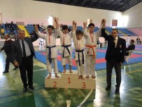 BEDEN EĞİTİMİ - Karateciler Okulları İçin Tatamiye Çıktı