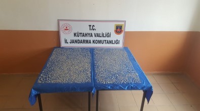 Kütahya'da 5 Bin Adet Sikke Ele Geçirildi