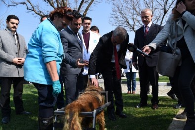 Vali Deniz'den Hayvan Bakım Ve Tedavi Merkezi'ne Tam Not