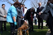 AHMET ERDOĞDU - Vali Deniz'den Hayvan Bakım Ve Tedavi Merkezi'ne Tam Not