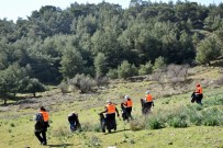 ORMANA - Aliağa'da Ormanlar Temizleniyor