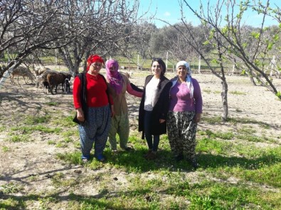 Ayvalık Ziraat Odası Başkanı Baysal Çiftçi Kadınları Unutmadı