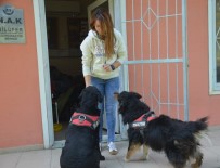 ÇIĞ DÜŞMESİ - Bursa'nın Hayat Kurtaran Kadını