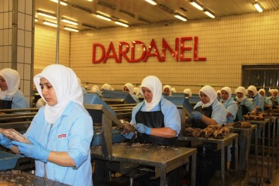 Dardanel, Çanakkale Fabrikasında İstihdam Önceliğini Kadınlara Tanıyor