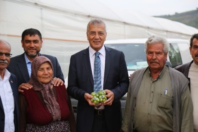 Erik Hasadı Yapan Çiftçiye Başkan Tarhan'dan Destek Ziyareti