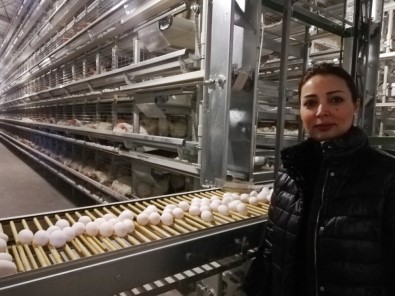 Irak'tan Geldi, Mardin'e 15 Milyon Dolarlık Yatırım Yaptı