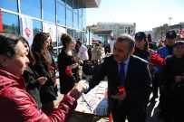 KADIN PLATFORMU - Tunceli'de 8 Mart Dünya Kadınlar Günü Etkinlikleri