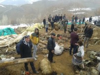 KEÇİ - Çatak'ta Hır Çöktü 374 Küçükbaş Hayvan Telef Oldu