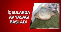 AVCILIK - İç Sularda Av Yasağı Başladı