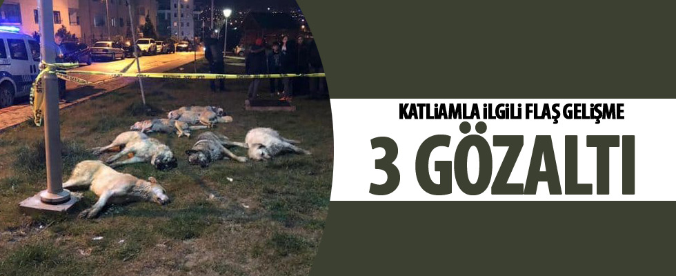 Ankara'daki katliamla ilgili gözaltı!