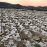 KARAYAKUP - Dolunun Zararı Yaklaşık 2,5 Milyon Lira