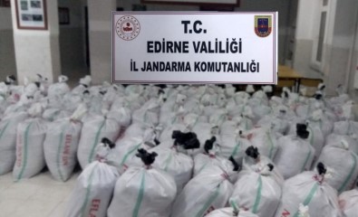 Jandarmadan Dev Uyuşturucu Operasyonu